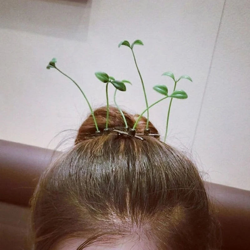 Sprout