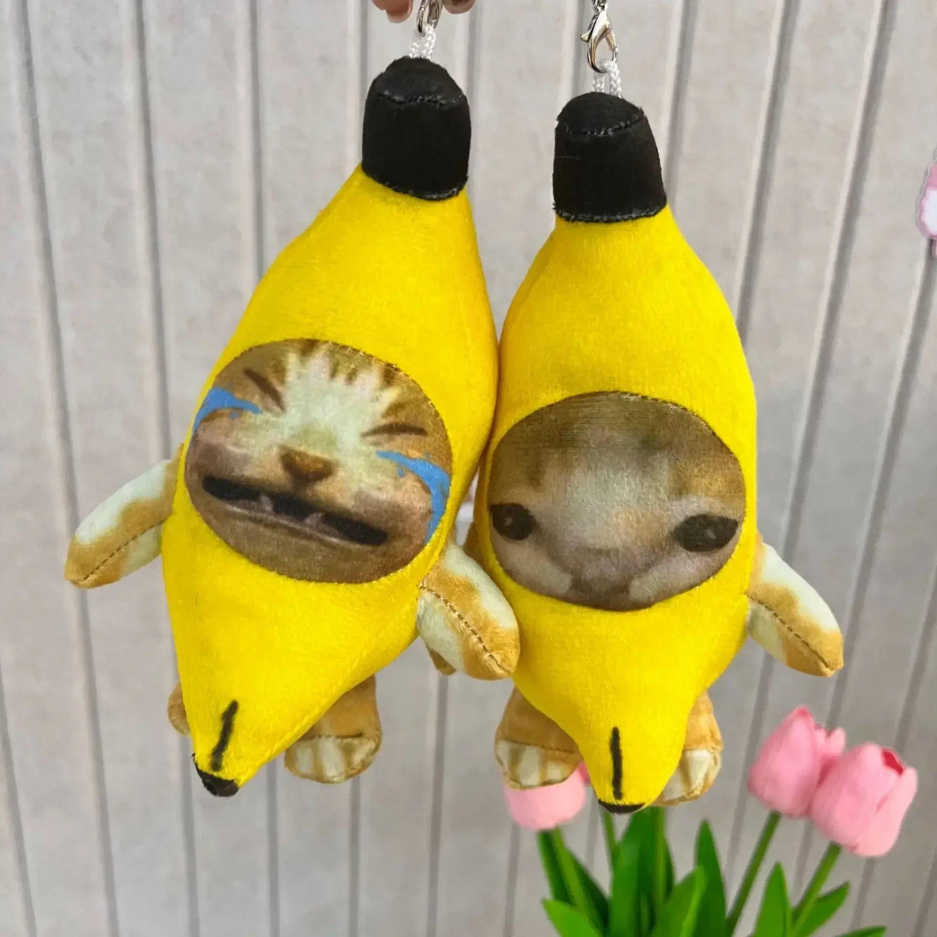 Banana cat