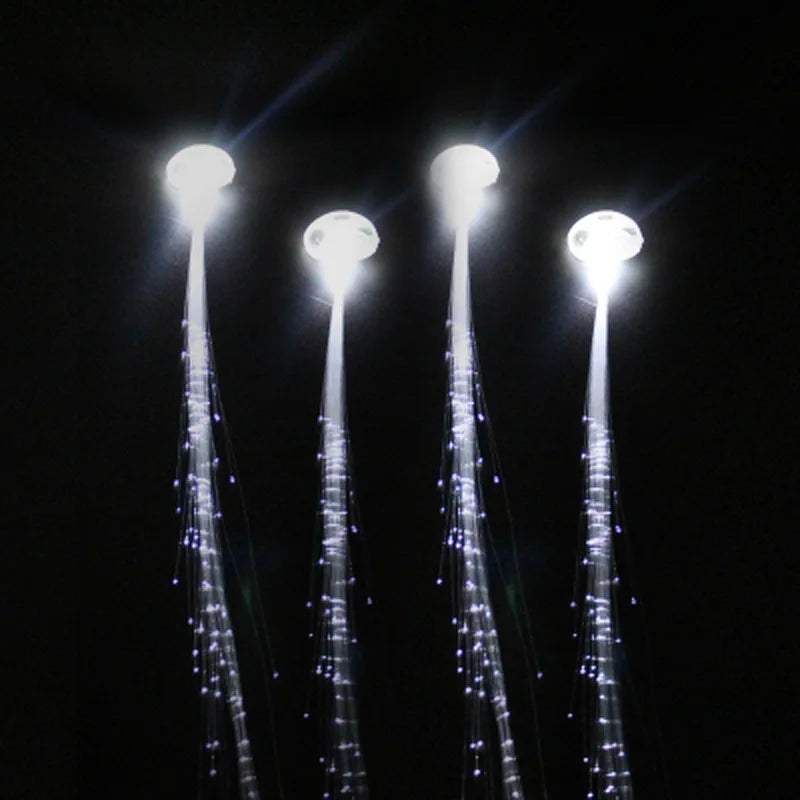 Accessoires Lumieux