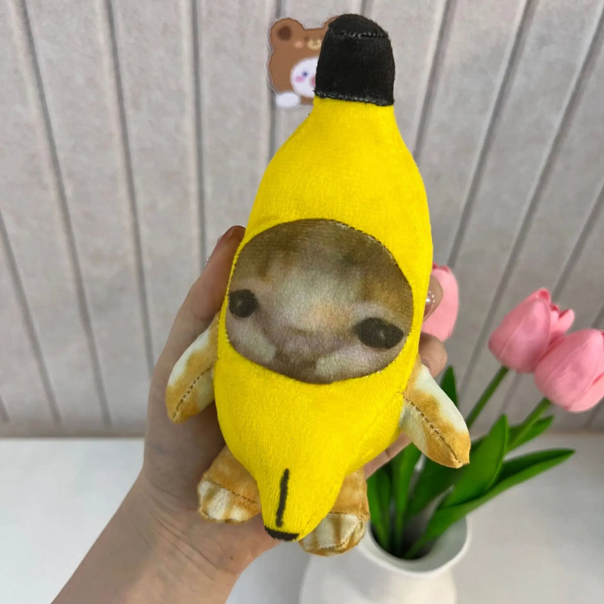 14CM