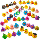 Funny Mini Canard