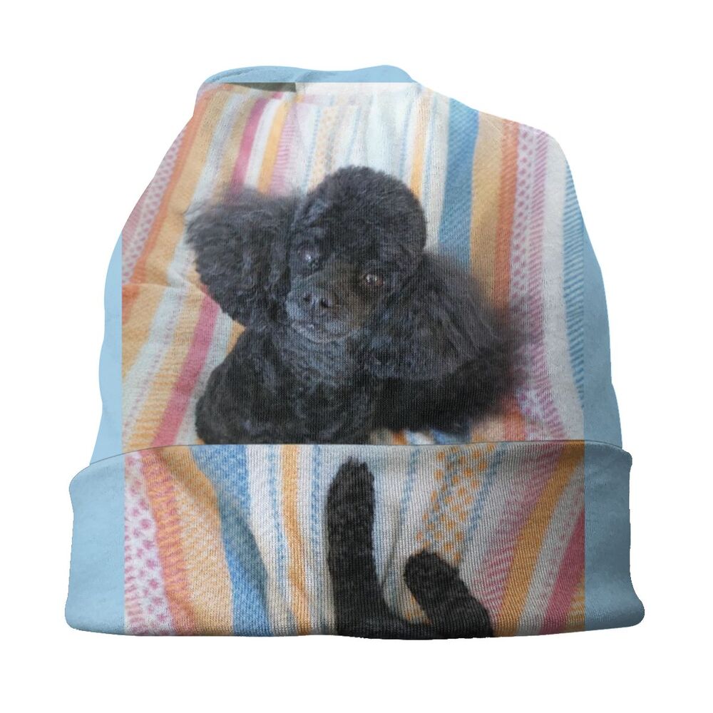 Pashmina