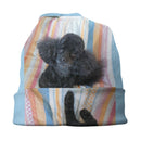 Pashmina