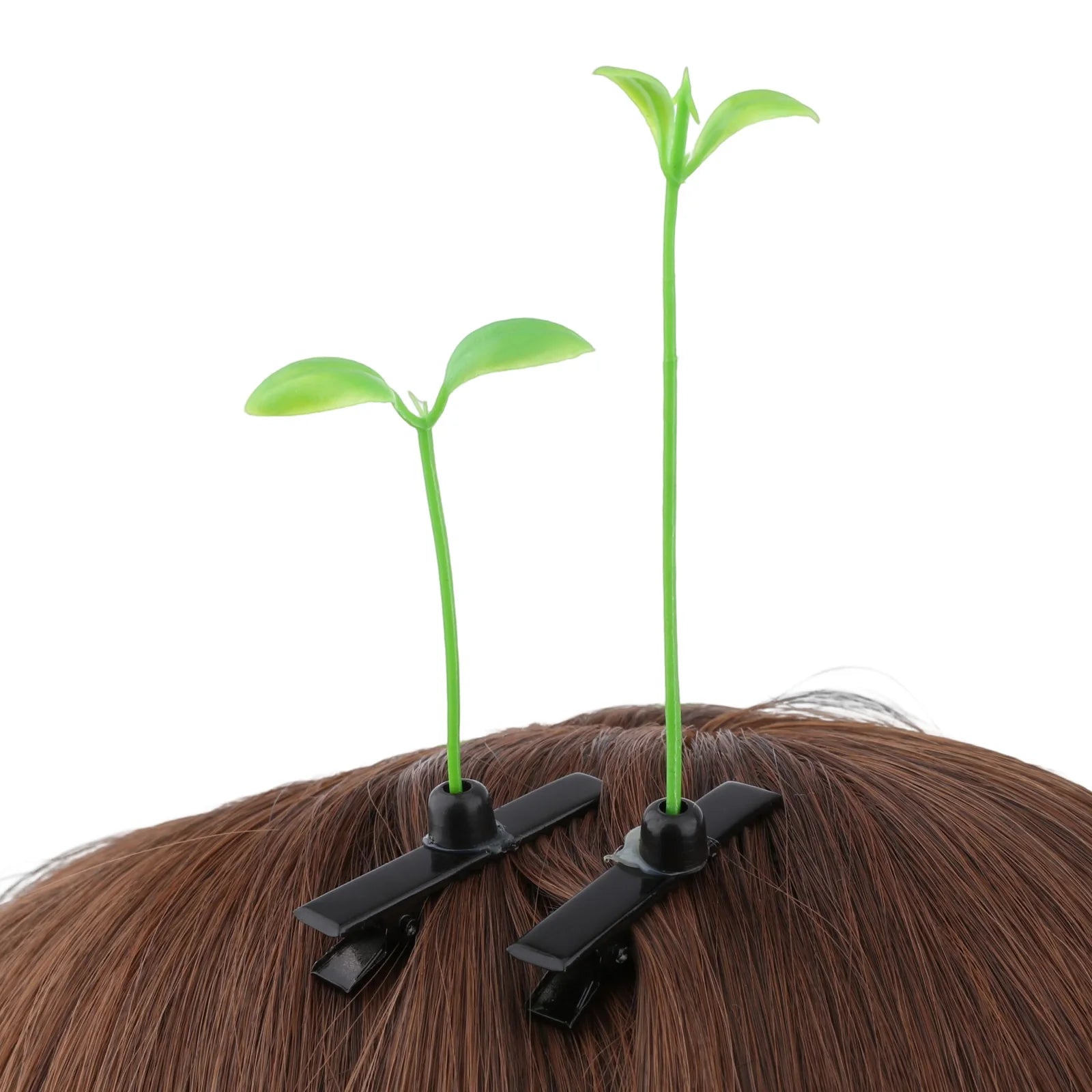Sprout
