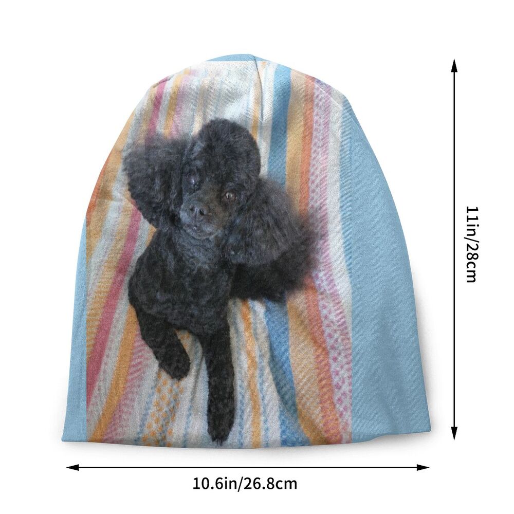 Pashmina