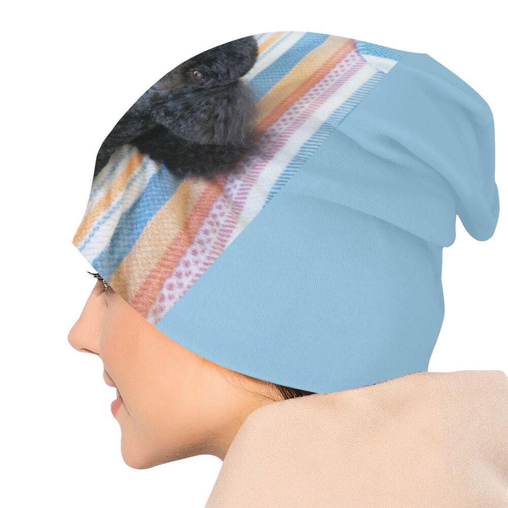 Pashmina