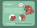 Lot de marionnettes de dinosaures en caoutchouc pour doigts