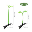 Sprout