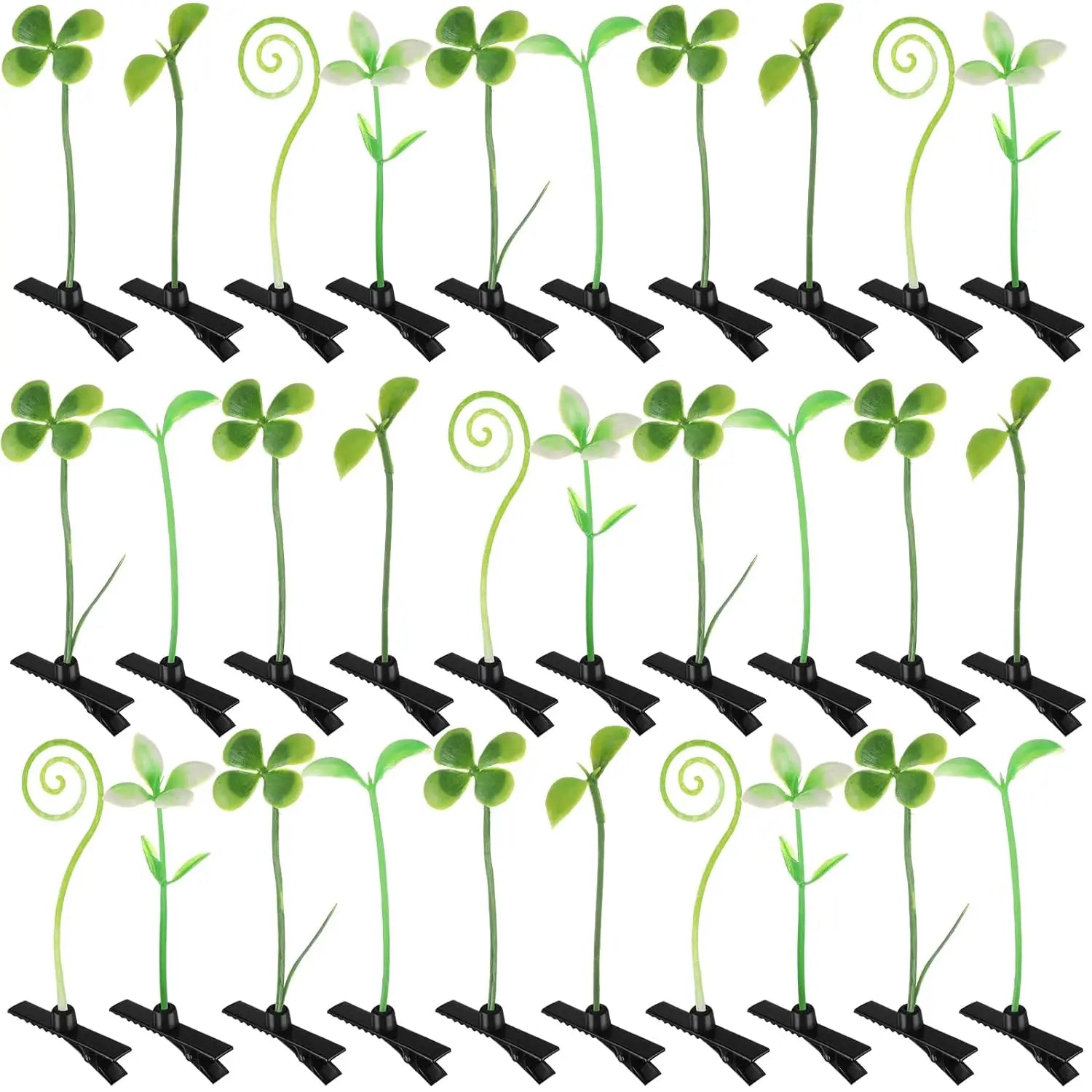 Sprouts