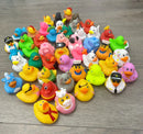 Funny Mini Canard