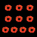 49627819082026
