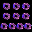 49627819606314