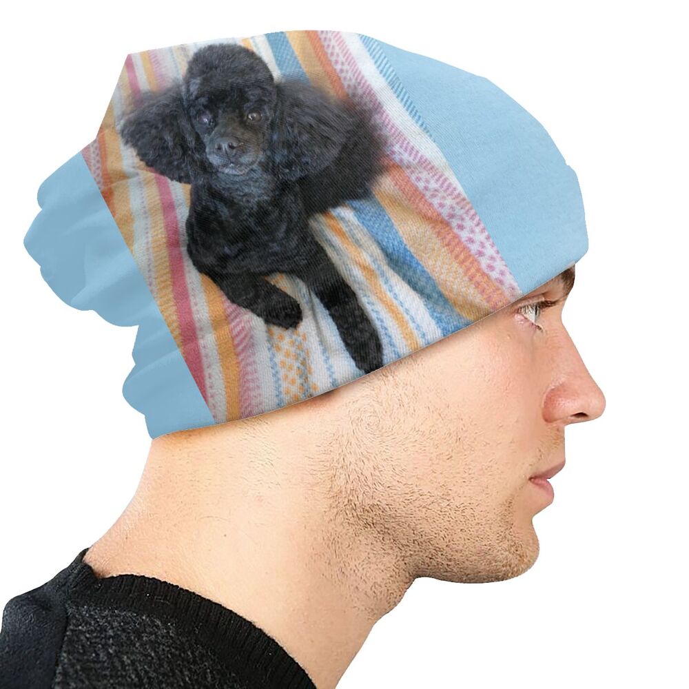 Pashmina